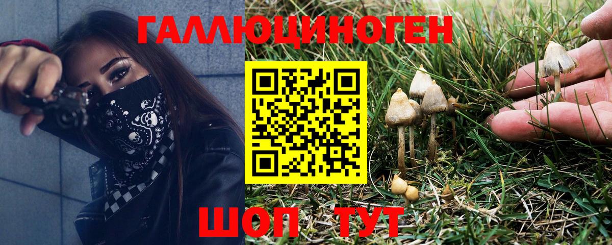 Галлюциногенные грибы прущие грибы Магадан