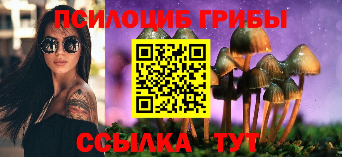 Магадан  Галлюциногенные грибы мицелий  Вход с VPN 